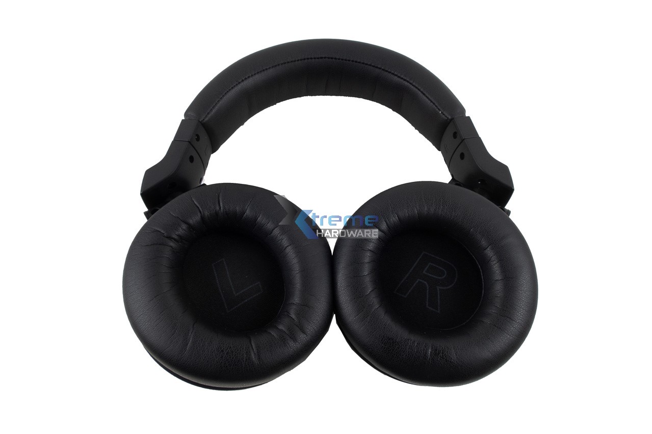 Kiwi Ears Aventus 13 284fa